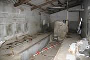 Inside the Milking Parlour